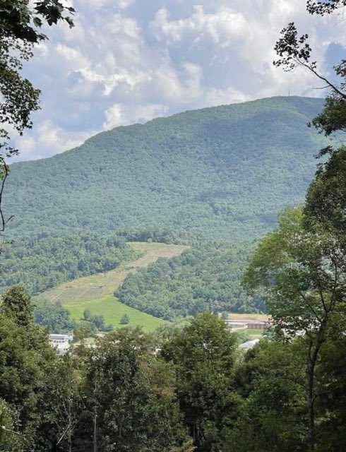 Summer view of Mount Jefferson from Town View Estates