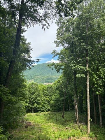 Summer mountain clearing at Town View Estates