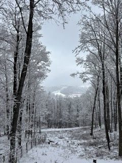 Winter snow scene from Town View Estates